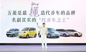 2025款五菱缤果：“更懂你的代步车”